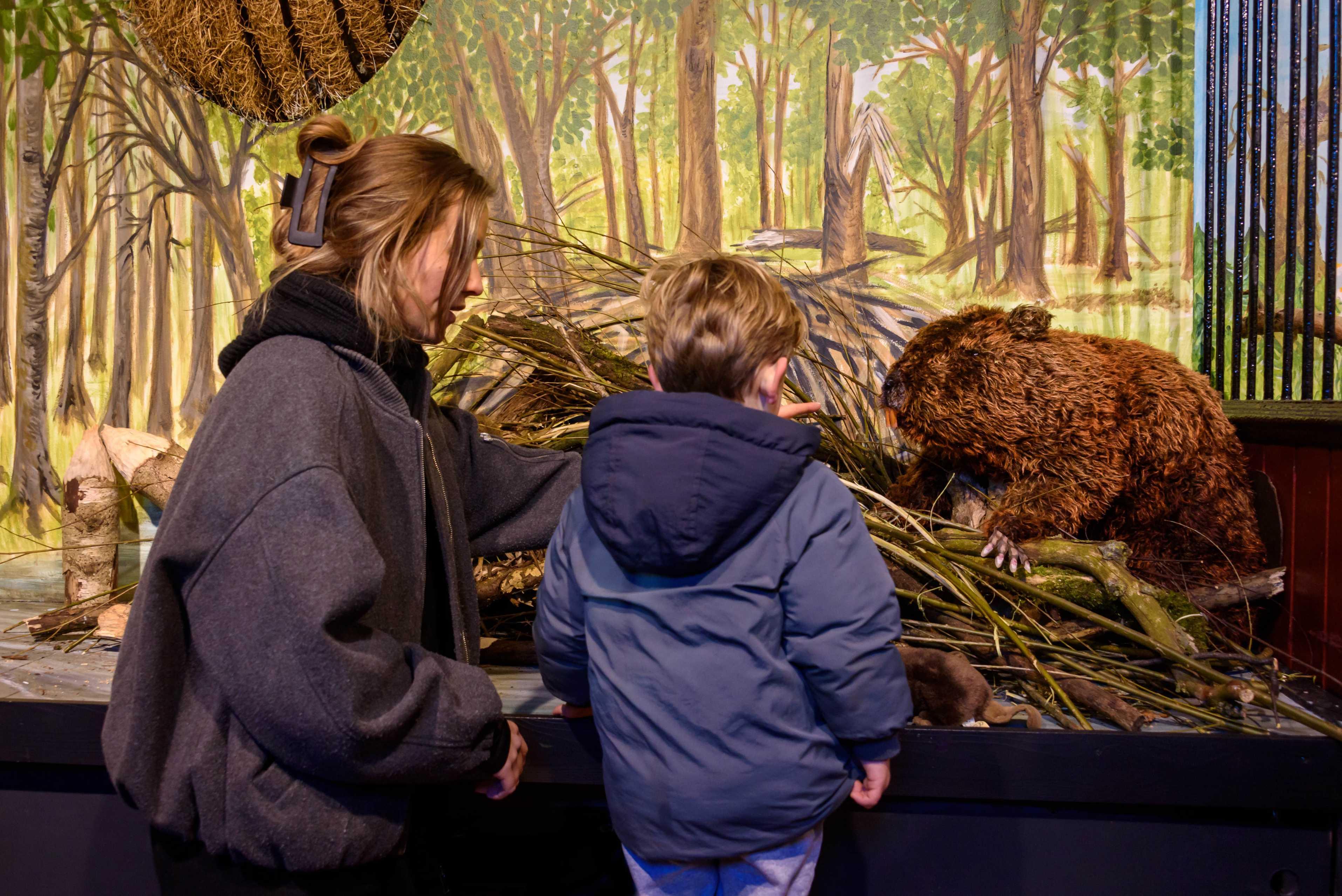 Vakmanschap? Natuurlijk! – Expositie over bouwmeesters in de natuur